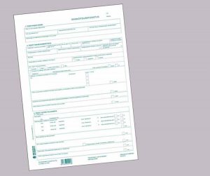 is-nn-itsij-ntodistus-p-ivittyi-suomen-kiinteist-lehti