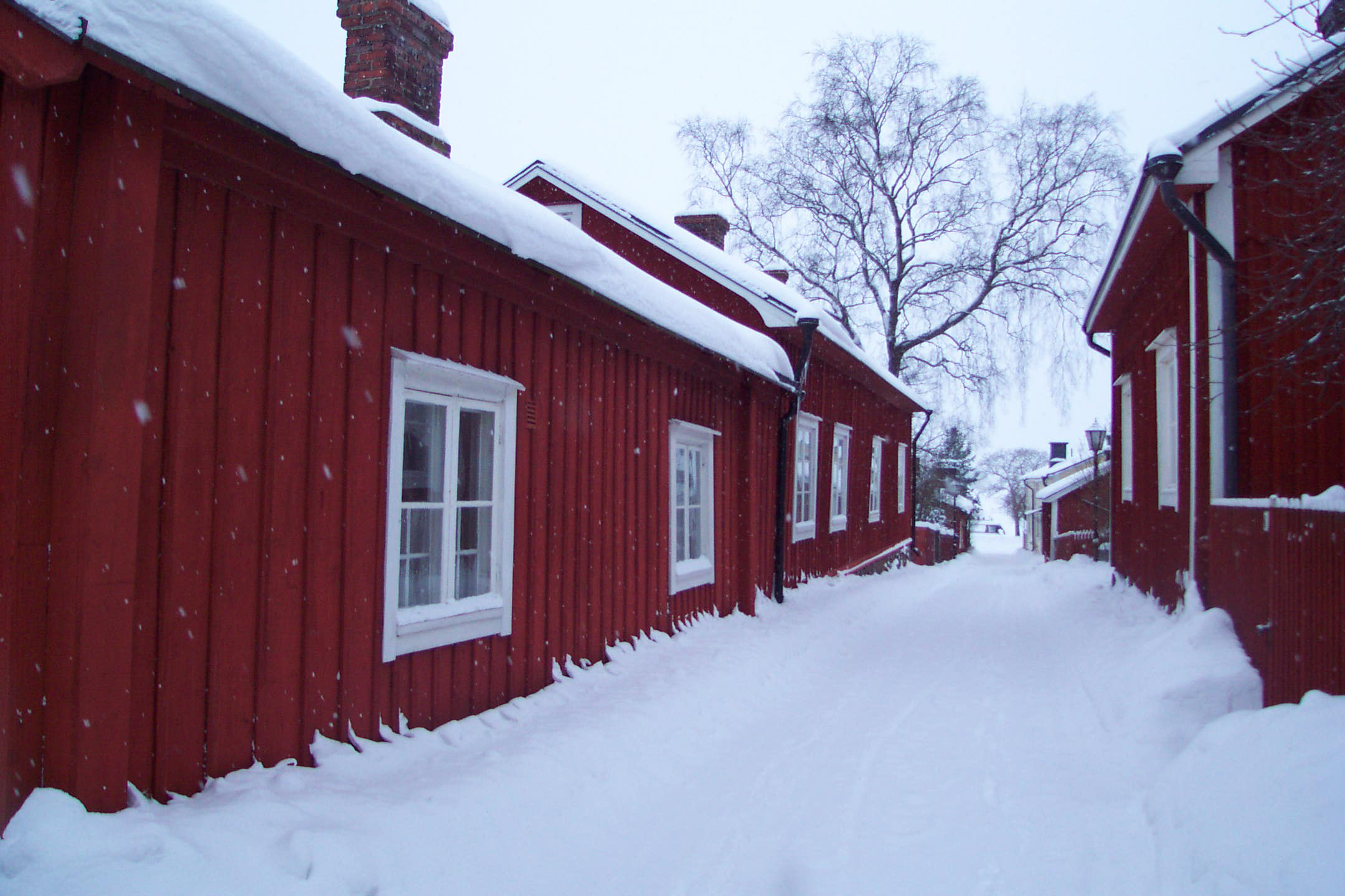 pakkanen putkirikko