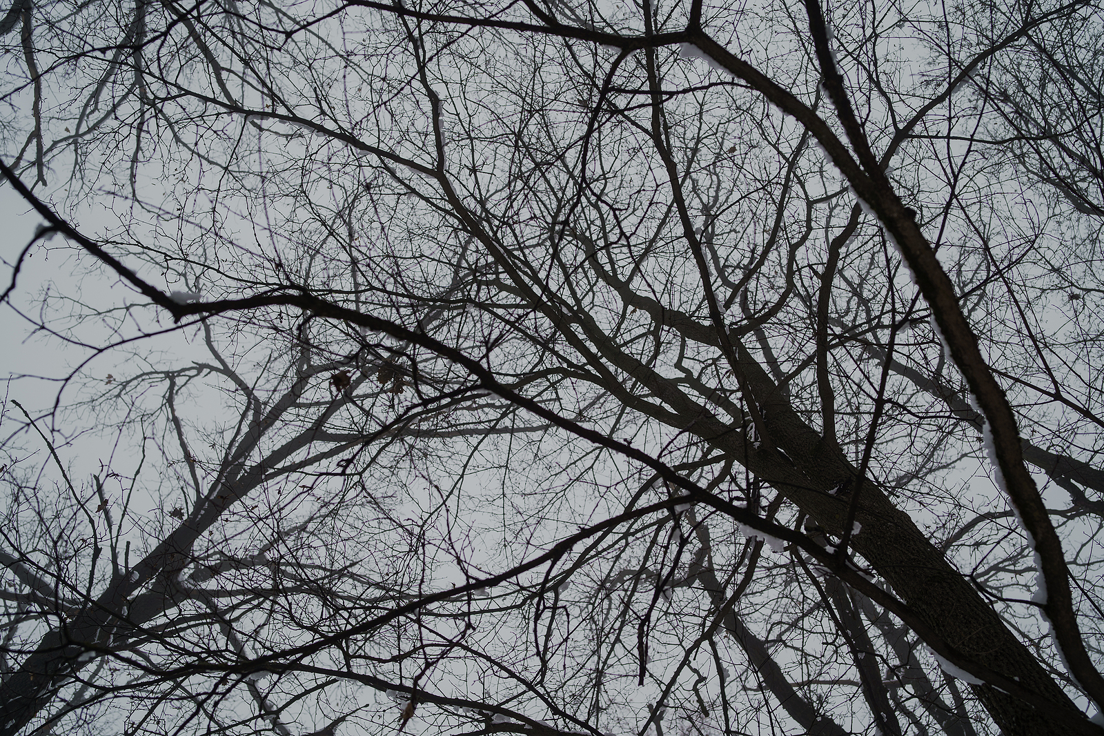 vuosikello marraskuu