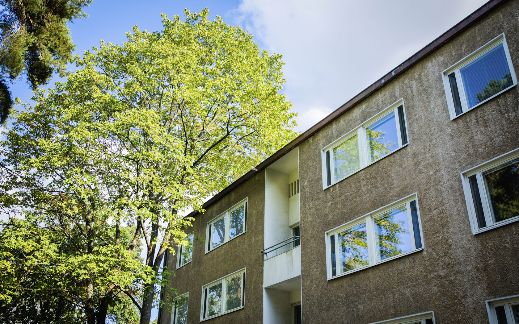 puiden kaatamisesta päättäminen